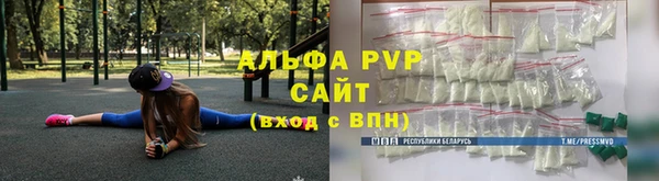 МДПВ Каменногорск