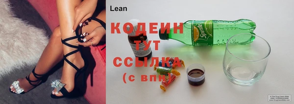 дмт Касимов