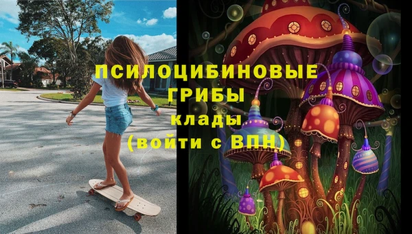 Альфа ПВП Каменск-Шахтинский