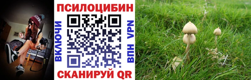 Псилоцибиновые грибы мухоморы  Нальчик 