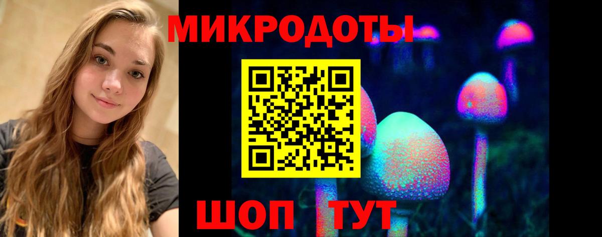 Псилоцибиновые грибы мицелий Нальчик